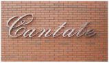 Script letter type